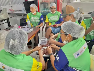 notícia:  Curso de bioeconomia do cacau movimenta e fortalece agricultura familiar na 54ª Expofeira do Amapá 