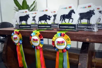 notícia: 54ª Expofeira do Amapá movimenta setor agropecuário e promove premiação do julgamento animal