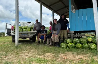 notícia: Projeto da Ueap avalia impacto do uso de nutrientes para melhorar a produção de melancia no município de Amapá