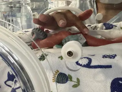 notícia: Novembro Roxo: Governo do Amapá promove programação do com foco nos cuidados com o bebê prematuro