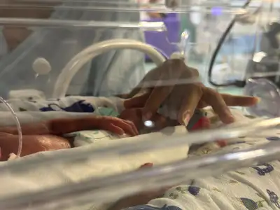 notícia: Novembro Roxo: Governo do Amapá promove programação  com foco nos cuidados com o bebê prematuro