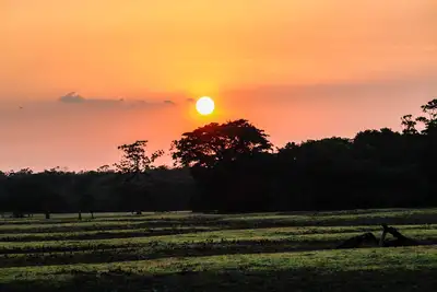 notícia: Amapá é destaque entre os estados da Amazônia Legal com zero desmatamento acima de 50 hectares por imóvel rural nos últimos três anos