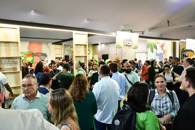 notícia: Atraindo 800 visitantes por dia, estande do Amapá se destaca como um dos mais concorridos da COP30