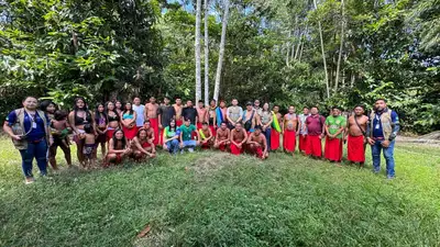 notícia: Governo do Amapá entrega kits de alimentos para comunidades indígenas de Pedra Branca do Amapari 