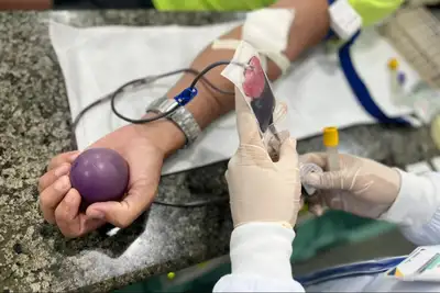 notícia: Dia Nacional do Doador de Sangue: um voluntário pode salvar até 4 vidas, reforça Hemoap