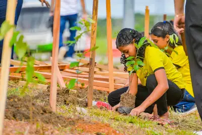 notícia: Governo do Amapá lança Grupo de Trabalho para elaboração do Plano Estadual de Arborização Urbana nesta sexta-feira, 19