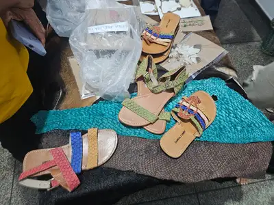 notícia: Projeto Peix’Arte transforma resíduos do pescado em biojoias e gera renda no Amapá