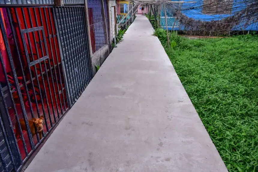  <div class='credito_fotos'>Foto: Max Renê/GEA &nbsp;&nbsp;|&nbsp;&nbsp; <a href='/midias/2026/originais/20260106084200-GF00016851-F00214650.webp' download><i class='fa-solid fa-download'></i> Download</a></div>