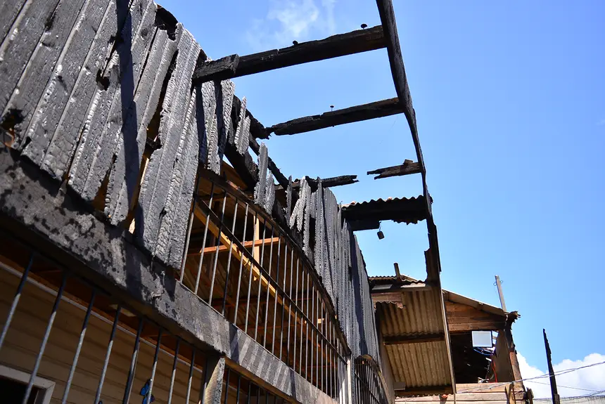  <div class='credito_fotos'>Foto: Maksuel Martins/GEA &nbsp;&nbsp;|&nbsp;&nbsp; <a href='/midias/2026/originais/20260109140433-GF00016860-F00214968.webp' download><i class='fa-solid fa-download'></i> Download</a></div>