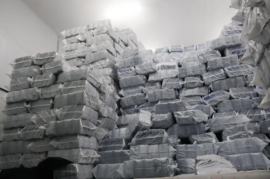  <div class='credito_fotos'>Foto: Nayana Magalhães/GEA &nbsp;&nbsp;|&nbsp;&nbsp; <a href='/midias/2026/originais/20260121090509-GF00016882-F00215460.webp' download><i class='fa-solid fa-download'></i> Download</a></div>