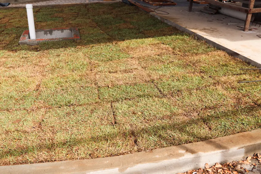  <div class='credito_fotos'>Foto: Adriano Monteiro/GEA &nbsp;&nbsp;|&nbsp;&nbsp; <a href='/midias/2026/originais/20260122083714-GF00016886-F00215621.webp' download><i class='fa-solid fa-download'></i> Download</a></div>