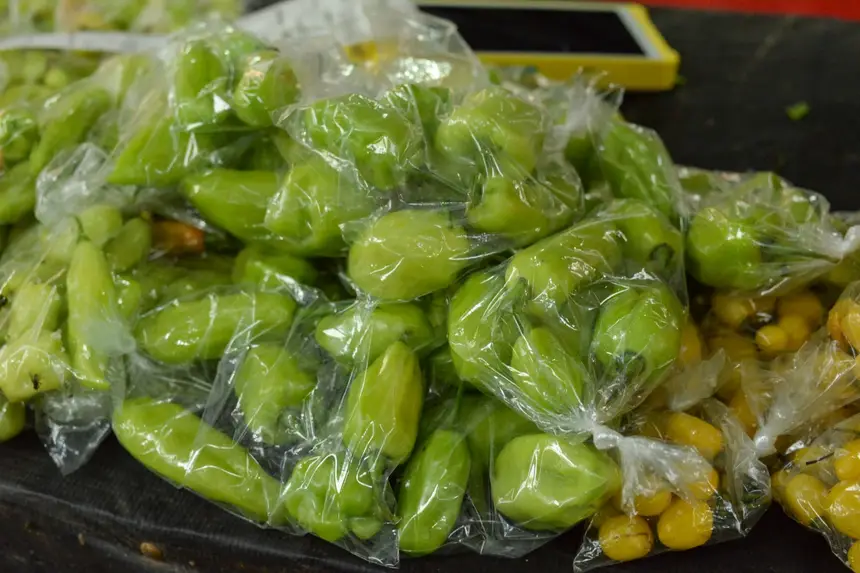  <div class='credito_fotos'>Foto: Gabriel Penha/Secom Gea &nbsp;&nbsp;|&nbsp;&nbsp; <a href='/midias/2026/originais/20260129115421-GF00016903-F00215981.webp' download><i class='fa-solid fa-download'></i> Download</a></div>