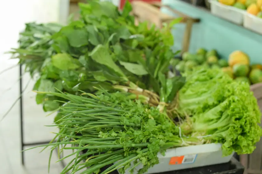  <div class='credito_fotos'>Foto: Gabriel Penha/Secom Gea &nbsp;&nbsp;|&nbsp;&nbsp; <a href='/midias/2026/originais/20260129115428-GF00016903-F00215991.webp' download><i class='fa-solid fa-download'></i> Download</a></div>