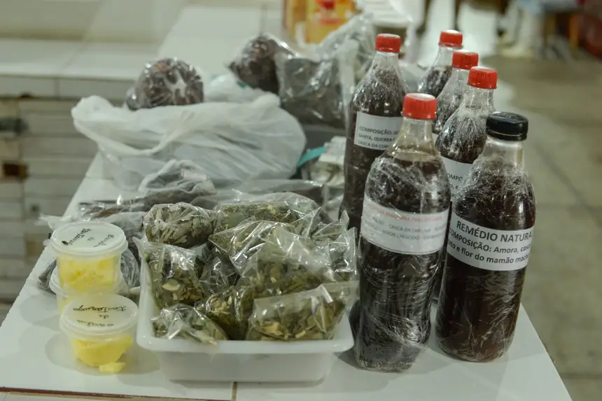  <div class='credito_fotos'>Foto: Gabriel Penha/Secom Gea &nbsp;&nbsp;|&nbsp;&nbsp; <a href='/midias/2026/originais/20260129115430-GF00016903-F00215993.webp' download><i class='fa-solid fa-download'></i> Download</a></div>