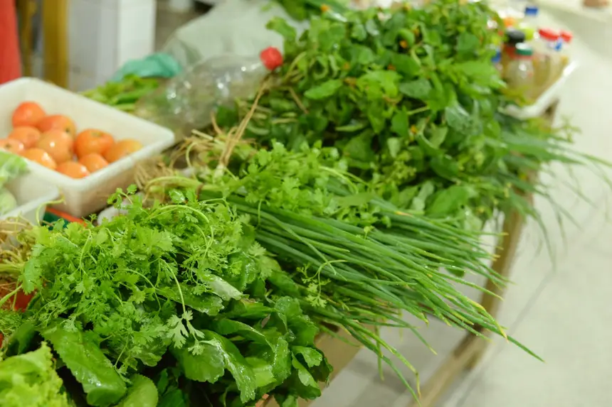  <div class='credito_fotos'>Foto: Gabriel Penha/Secom Gea &nbsp;&nbsp;|&nbsp;&nbsp; <a href='/midias/2026/originais/20260129115433-GF00016903-F00215997.webp' download><i class='fa-solid fa-download'></i> Download</a></div>