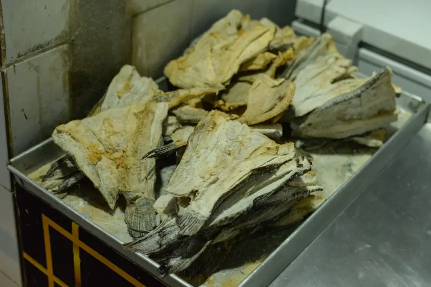  <div class='credito_fotos'>Foto: Gabriel Penha/Secom Gea &nbsp;&nbsp;|&nbsp;&nbsp; <a href='/midias/2026/originais/20260129115437-GF00016903-F00216003.webp' download><i class='fa-solid fa-download'></i> Download</a></div>