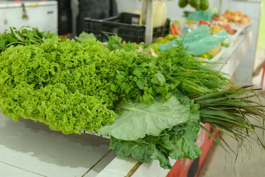  <div class='credito_fotos'>Foto: Gabriel Penha/Secom Gea &nbsp;&nbsp;|&nbsp;&nbsp; <a href='/midias/2026/originais/20260129115439-GF00016903-F00216005.webp' download><i class='fa-solid fa-download'></i> Download</a></div>