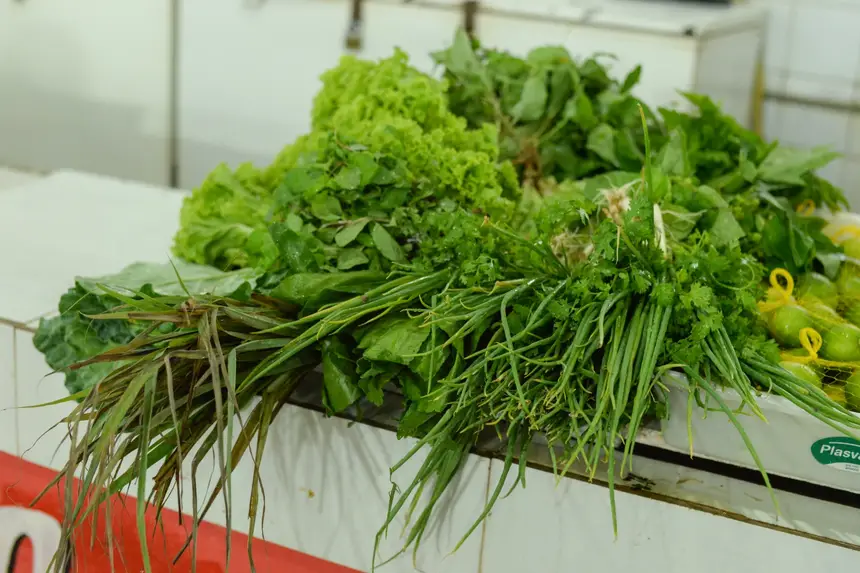  <div class='credito_fotos'>Foto: Gabriel Penha/Secom Gea &nbsp;&nbsp;|&nbsp;&nbsp; <a href='/midias/2026/originais/20260129115440-GF00016903-F00216006.webp' download><i class='fa-solid fa-download'></i> Download</a></div>