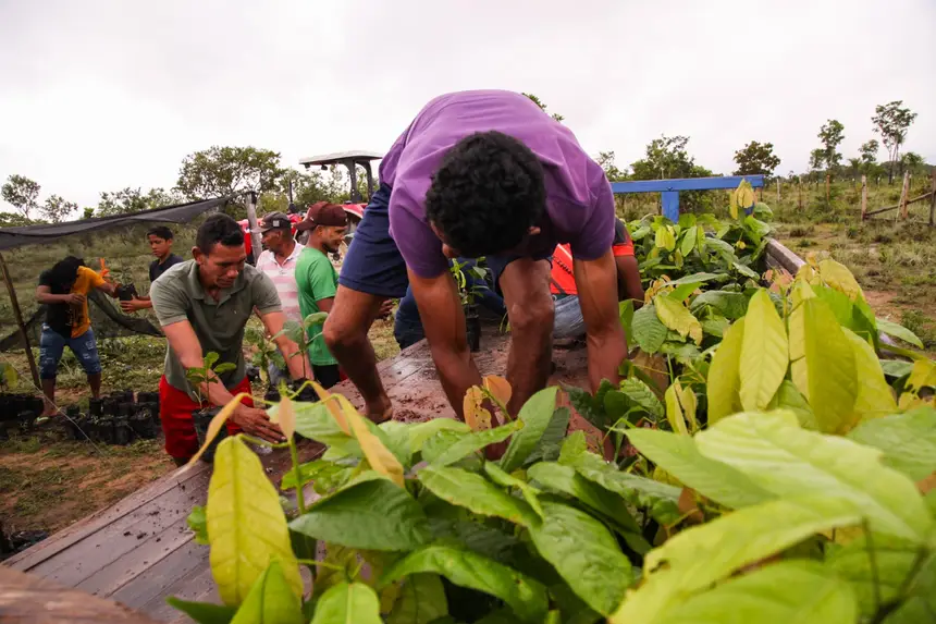  <div class='credito_fotos'>Foto: Gabriel Penha/Secom Gea &nbsp;&nbsp;|&nbsp;&nbsp; <a href='/midias/2026/originais/20260209111906-GF00016936-F00217158.webp' download><i class='fa-solid fa-download'></i> Download</a></div>