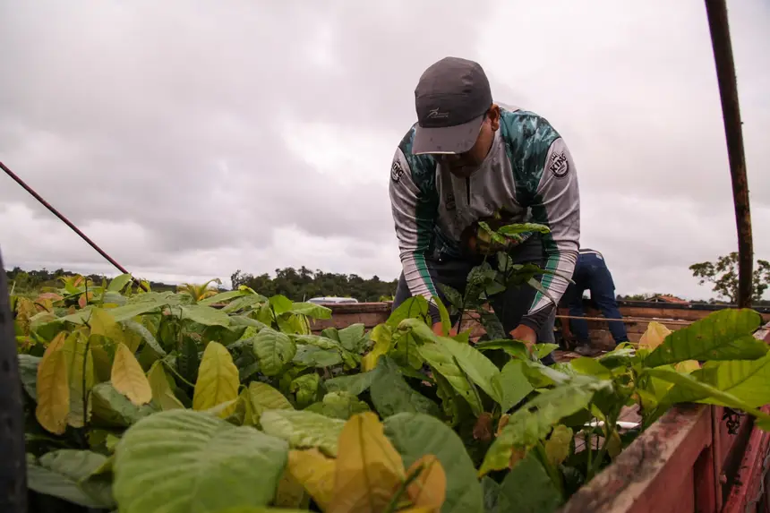  <div class='credito_fotos'>Foto: Gabriel Penha/Secom Gea &nbsp;&nbsp;|&nbsp;&nbsp; <a href='/midias/2026/originais/20260209111915-GF00016936-F00217169.webp' download><i class='fa-solid fa-download'></i> Download</a></div>