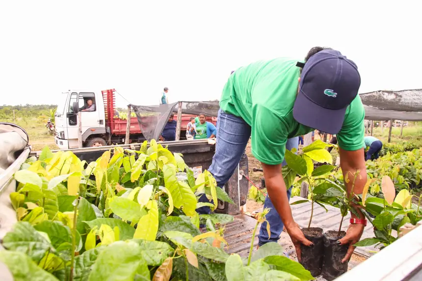  <div class='credito_fotos'>Foto: Gabriel Penha/Secom Gea &nbsp;&nbsp;|&nbsp;&nbsp; <a href='/midias/2026/originais/20260209111917-GF00016936-F00217172.webp' download><i class='fa-solid fa-download'></i> Download</a></div>