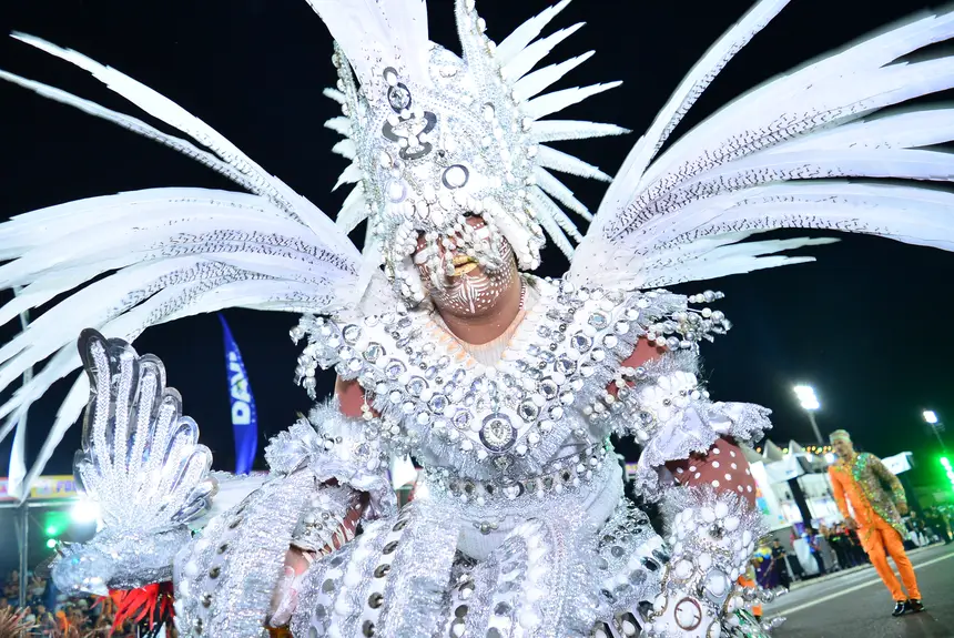  <div class='credito_fotos'>Foto: Maksuel Martins/GEA &nbsp;&nbsp;|&nbsp;&nbsp; <a href='/midias/2026/originais/20260215063622-GF00016949-F00218113.webp' download><i class='fa-solid fa-download'></i> Download</a></div>