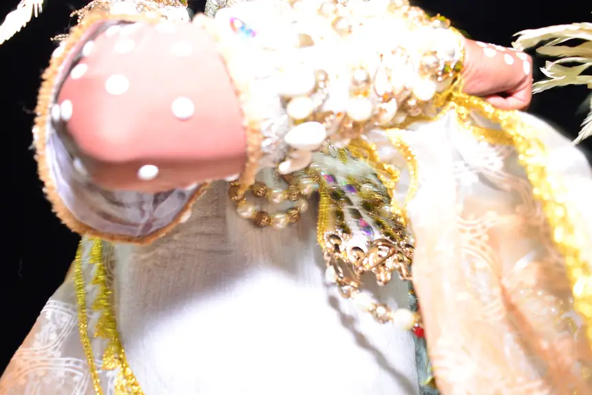  <div class='credito_fotos'>Foto: Maksuel Martins/GEA &nbsp;&nbsp;|&nbsp;&nbsp; <a href='/midias/2026/originais/20260215063624-GF00016949-F00218115.webp' download><i class='fa-solid fa-download'></i> Download</a></div>