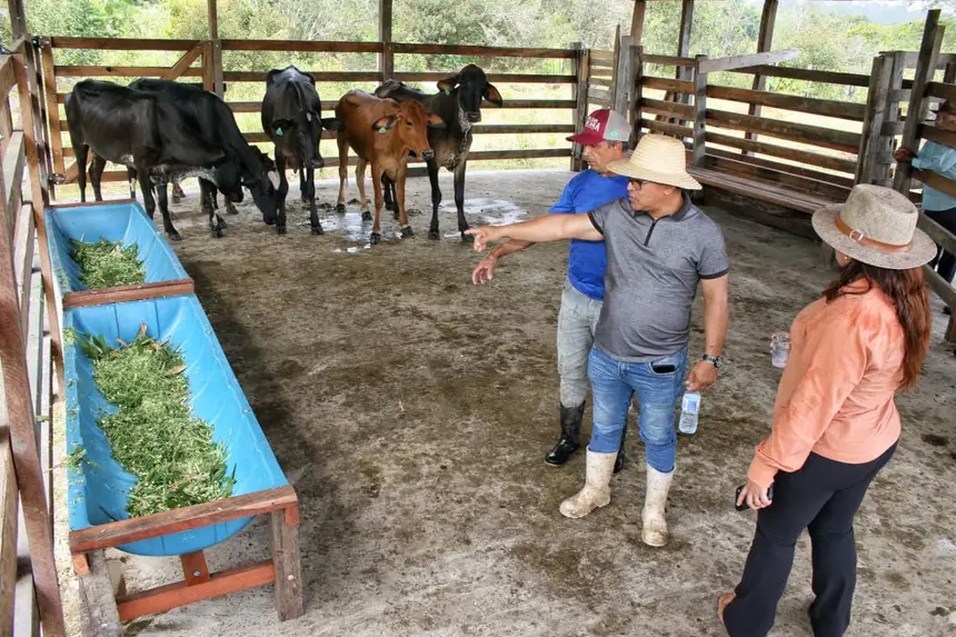  <div class='credito_fotos'>Foto: Aog Rocha/GEA &nbsp;&nbsp;|&nbsp;&nbsp; <a href='/midias/2026/originais/20260220074104-GF00016964-F00218488.webp' download><i class='fa-solid fa-download'></i> Download</a></div>