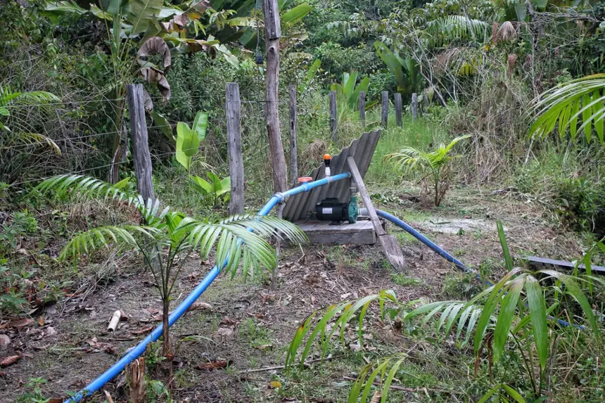  <div class='credito_fotos'>Foto: Aog Rocha/GEA &nbsp;&nbsp;|&nbsp;&nbsp; <a href='/midias/2026/originais/20260220074113-GF00016964-F00218500.webp' download><i class='fa-solid fa-download'></i> Download</a></div>