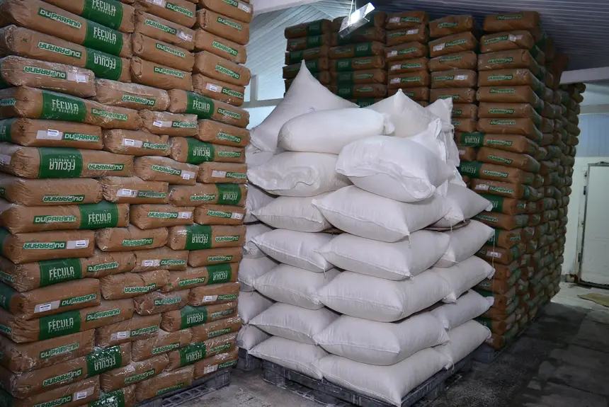  <div class='credito_fotos'>Foto: Maksuel Martins/GEA &nbsp;&nbsp;|&nbsp;&nbsp; <a href='/midias/2026/originais/20260225101716-GF00016973-F00218654.webp' download><i class='fa-solid fa-download'></i> Download</a></div>