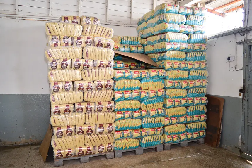  <div class='credito_fotos'>Foto: Maksuel Martins/GEA &nbsp;&nbsp;|&nbsp;&nbsp; <a href='/midias/2026/originais/20260225101722-GF00016973-F00218658.webp' download><i class='fa-solid fa-download'></i> Download</a></div>