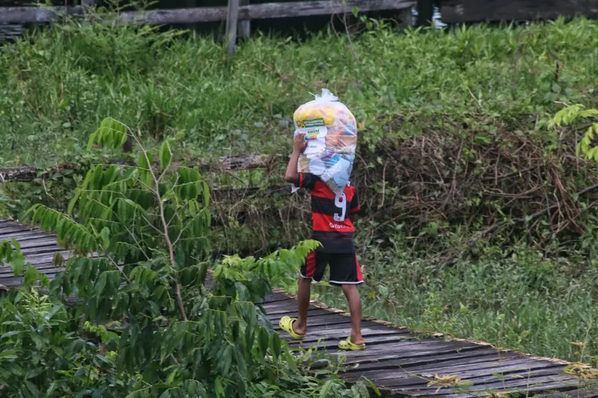  <div class='credito_fotos'>Foto: Aog Rocha/GEA &nbsp;&nbsp;|&nbsp;&nbsp; <a href='/midias/2026/originais/20260326085144-GF00017040-F00220292.webp' download><i class='fa-solid fa-download'></i> Download</a></div>