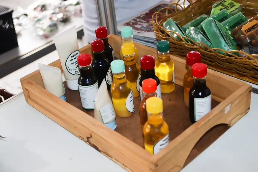  <div class='credito_fotos'>Foto: Adriano Monteiro/GEA &nbsp;&nbsp;|&nbsp;&nbsp; <a href='/midias/2026/originais/20260327093858-GF00017045-F00220435.webp' download><i class='fa-solid fa-download'></i> Download</a></div>