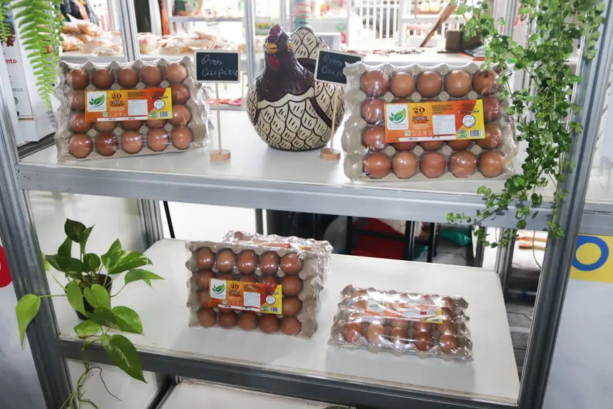  <div class='credito_fotos'>Foto: Adriano Monteiro/GEA &nbsp;&nbsp;|&nbsp;&nbsp; <a href='/midias/2026/originais/20260327093909-GF00017045-F00220449.webp' download><i class='fa-solid fa-download'></i> Download</a></div>