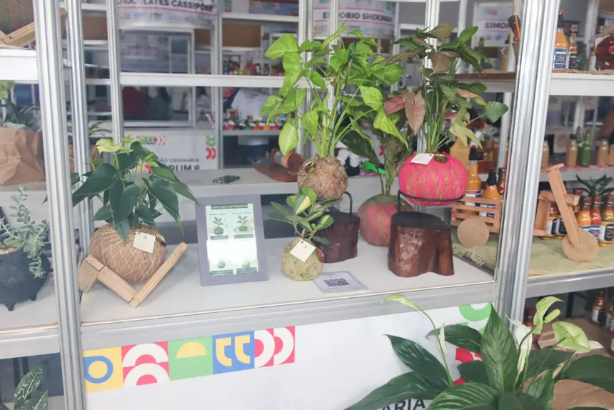  <div class='credito_fotos'>Foto: Adriano Monteiro/GEA &nbsp;&nbsp;|&nbsp;&nbsp; <a href='/midias/2026/originais/20260327093916-GF00017045-F00220459.webp' download><i class='fa-solid fa-download'></i> Download</a></div>