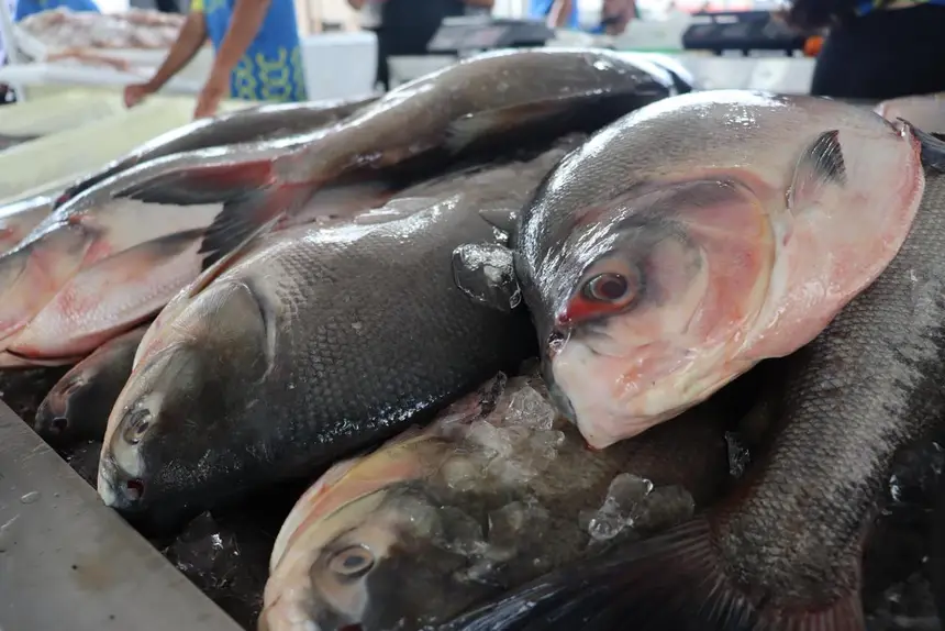 O alimento foi garantido à comunidade a preços populares, tornando o produto acessível às população