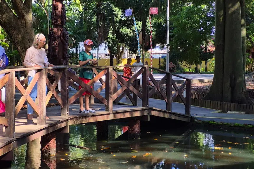 Turistas observam os animais 