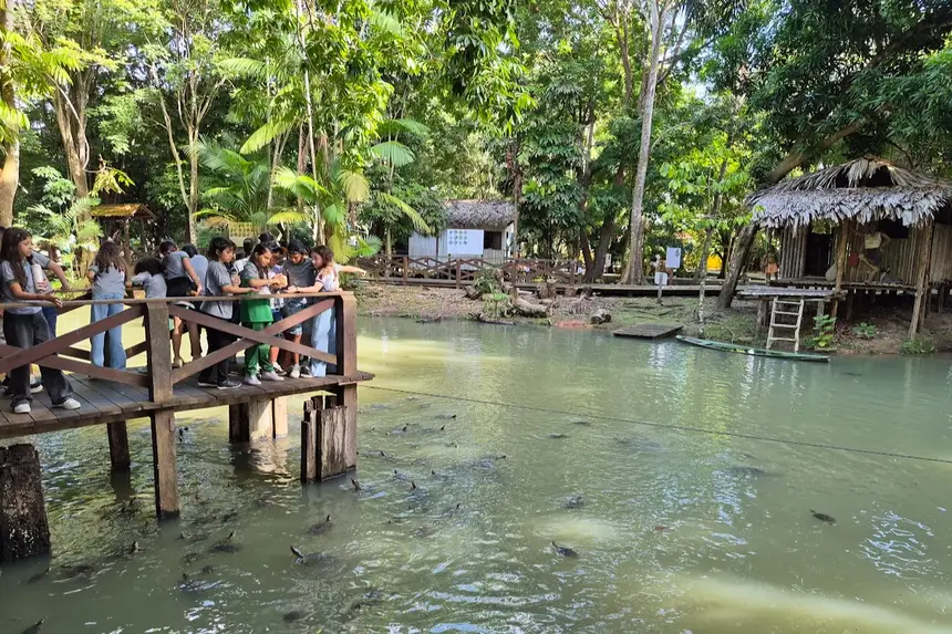 A criançada vibrando observando os animais 