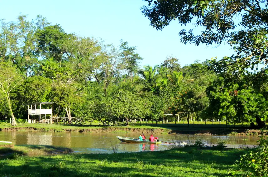  <div class='credito_fotos'>Foto: Márcia do Carmo/GEA &nbsp;&nbsp;|&nbsp;&nbsp; <a href='/midias/2026/originais/20260428125457-GF00017111-F00222183.webp' download><i class='fa-solid fa-download'></i> Download</a></div>