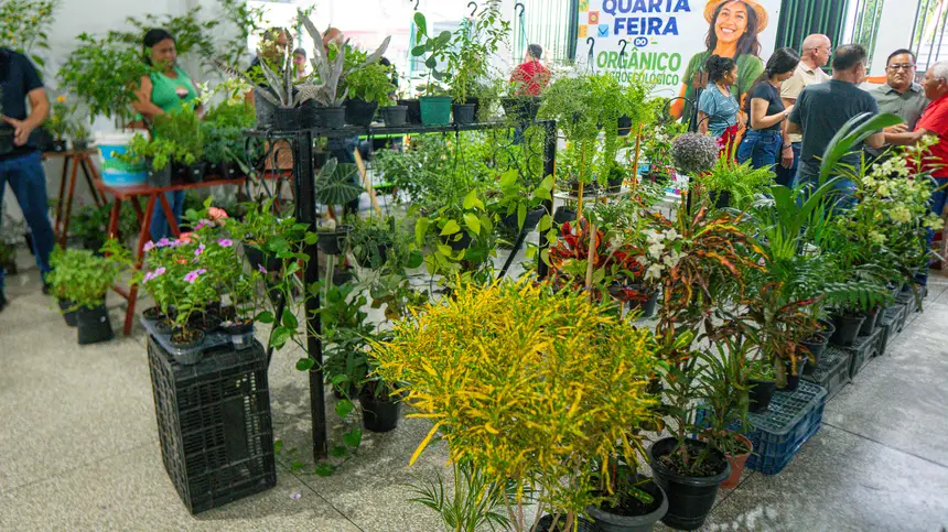  <div class='credito_fotos'>Foto: Arthur Alves / SECOM GEA &nbsp;&nbsp;|&nbsp;&nbsp; <a href='/midias/2026/originais/20260512130416-GF00017138-F00222860.webp' download><i class='fa-solid fa-download'></i> Download</a></div>