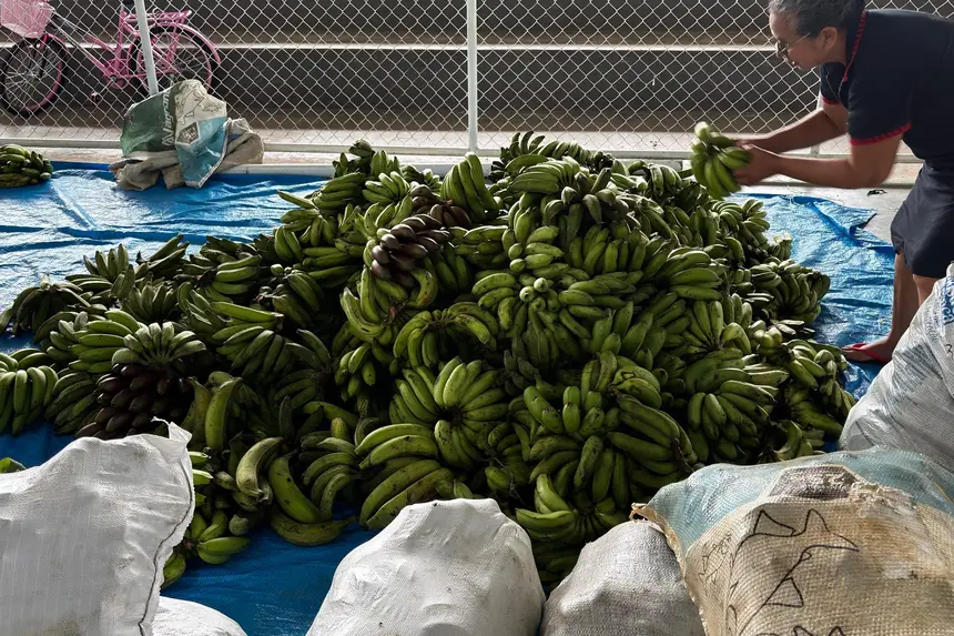 aa