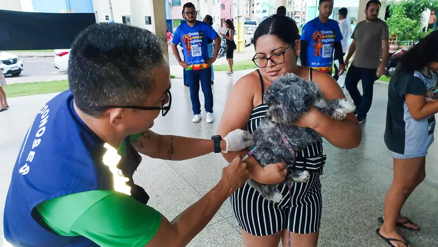  <div class='credito_fotos'>Foto: Adriano Monteiro/GEA &nbsp;&nbsp;|&nbsp;&nbsp; <a href='/midias/2026/originais/20260611091512-GF00017188-F00224121.webp' download><i class='fa-solid fa-download'></i> Download</a></div>