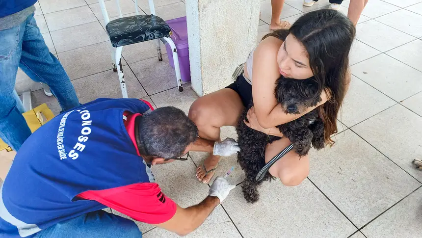 <div class='credito_fotos'>Foto: Adriano Monteiro/GEA &nbsp;&nbsp;|&nbsp;&nbsp; <a href='/midias/2026/originais/20260617101251-GF00017203-F00224557.webp' download><i class='fa-solid fa-download'></i> Download</a></div>