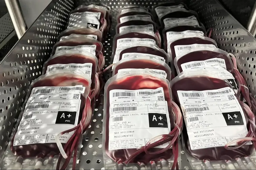 Estoque de hemocomponentes liberados no Hemoap, separados por tipagem sanguínea para distribuição aos hospitais