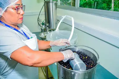 notícia: Estado do Amapá lidera ranking de patentes em relação ao PIB na Região Norte e alcança 9ª posição no Brasil