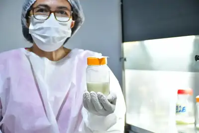 notícia: Solidariedade na folia: Governo do Amapá intensifica campanha de doação de leite humano durante o Carnaval