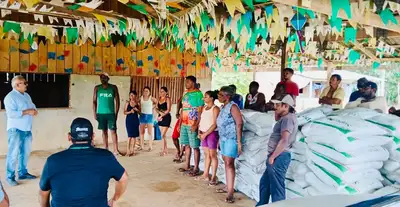 notícia: Governo do Amapá impulsiona produção familiar com entrega de insumos agrícolas no Maruanum