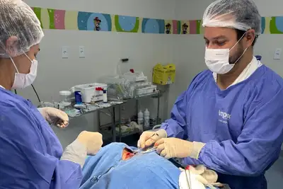 notícia: Governo do Amapá realiza cirurgia inédita em bebê de 6 meses para recuperar via aérea e evitar traqueostomia