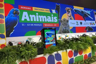 notícia: Causa animal: Governo Federal institui a Conferência Nacional de Proteção e Defesa dos Direitos dos Animais