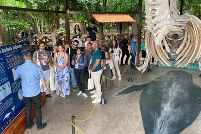 notícia: Governo do Amapá lança edital para credenciamento de profissionais do turismo